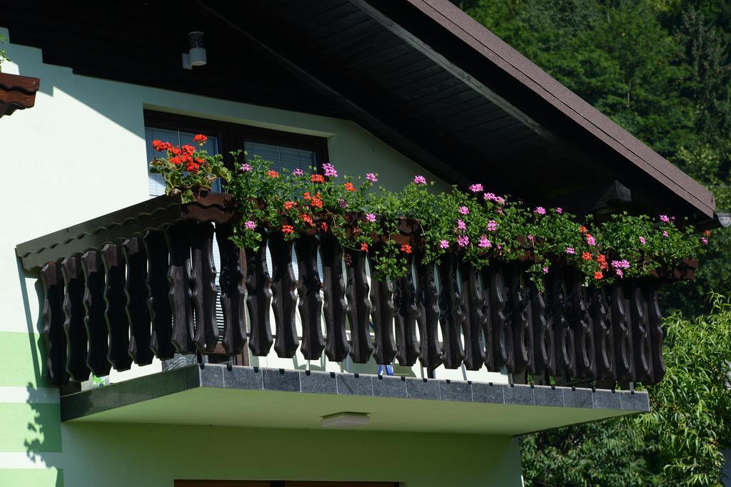 Zeleni Apartma Zrece Exterior photo