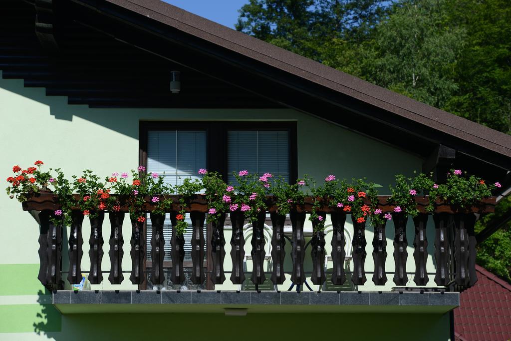 Zeleni Apartma Zrece Exterior photo