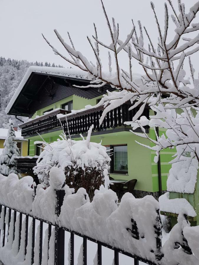 Zeleni Apartma Zrece Exterior photo
